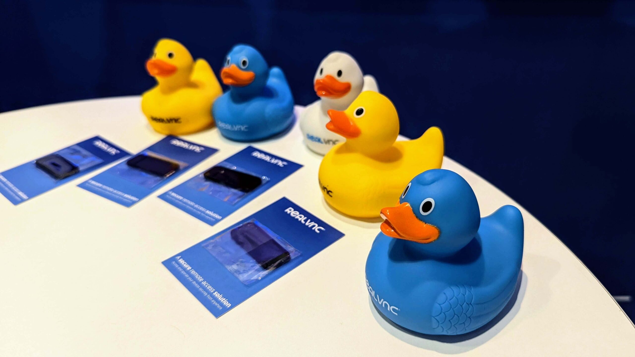 RealVNC Infosecurity Europe 2022 ducks