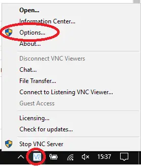 Icono del RealVNC Server en la bandeja del sistema