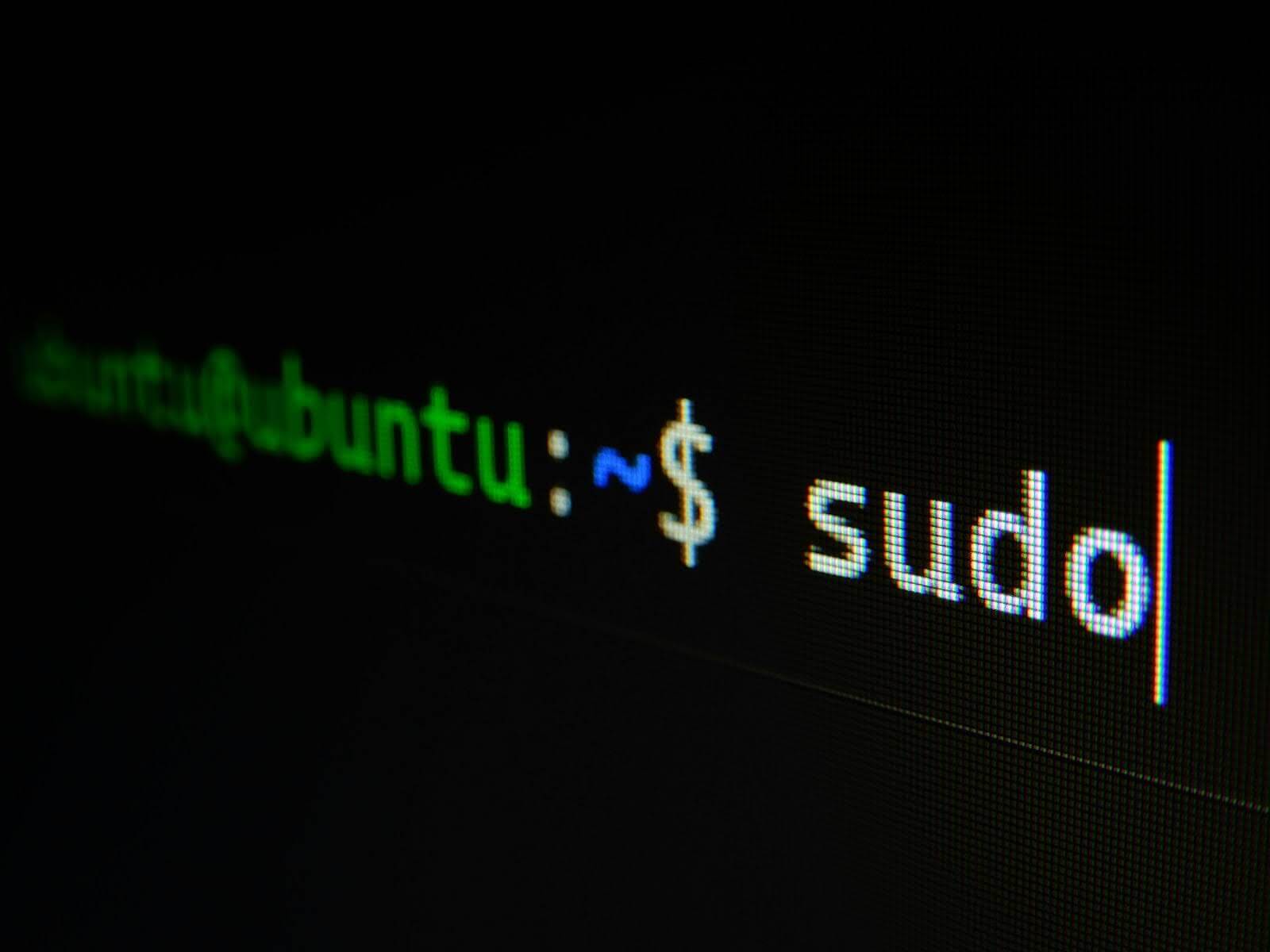 Close-up of a Linux bash terminal displaying the sudo command