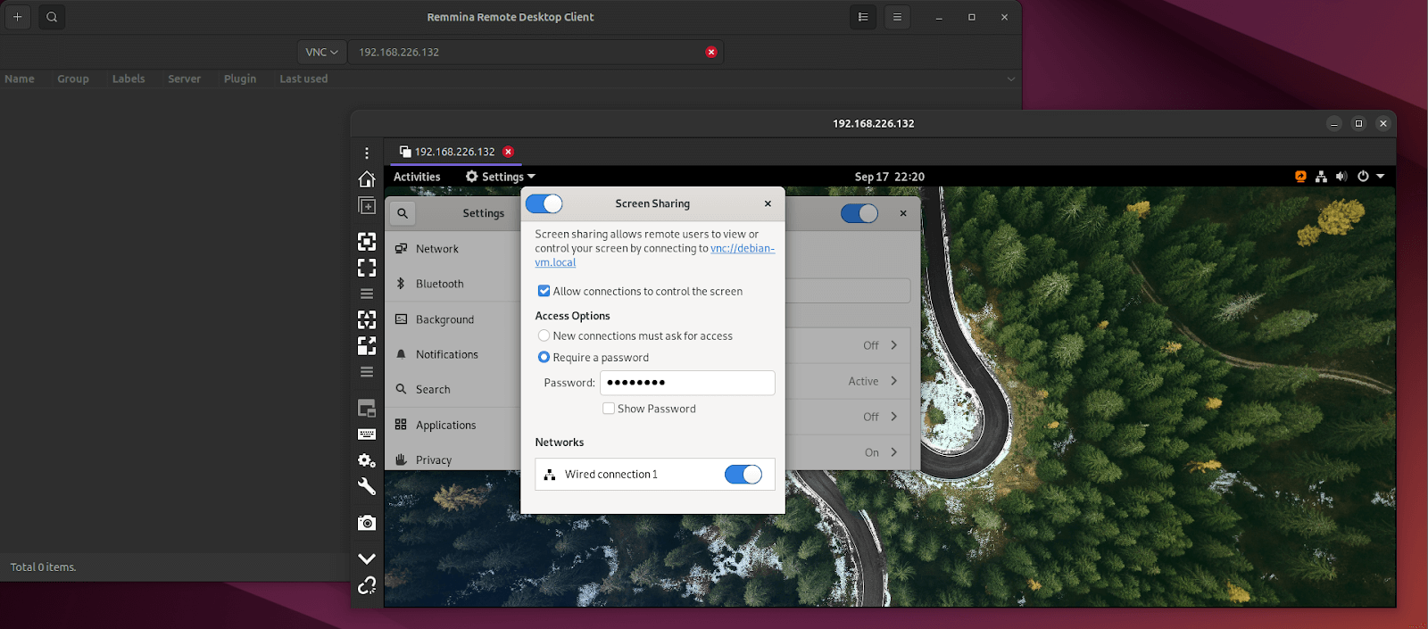 Gnome Vino remote session to Debian