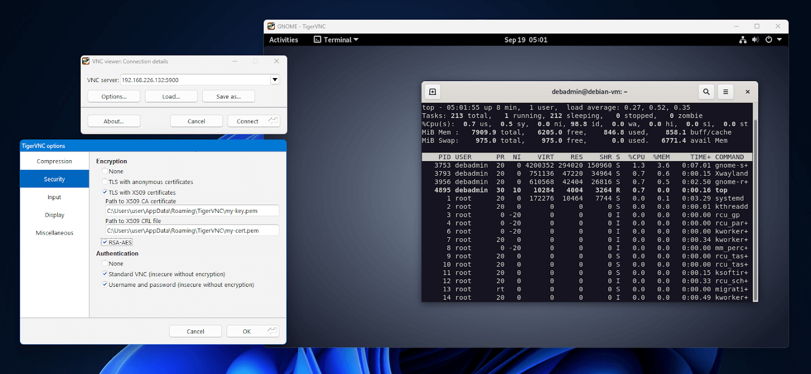 TigerVNC with a Debian remote session