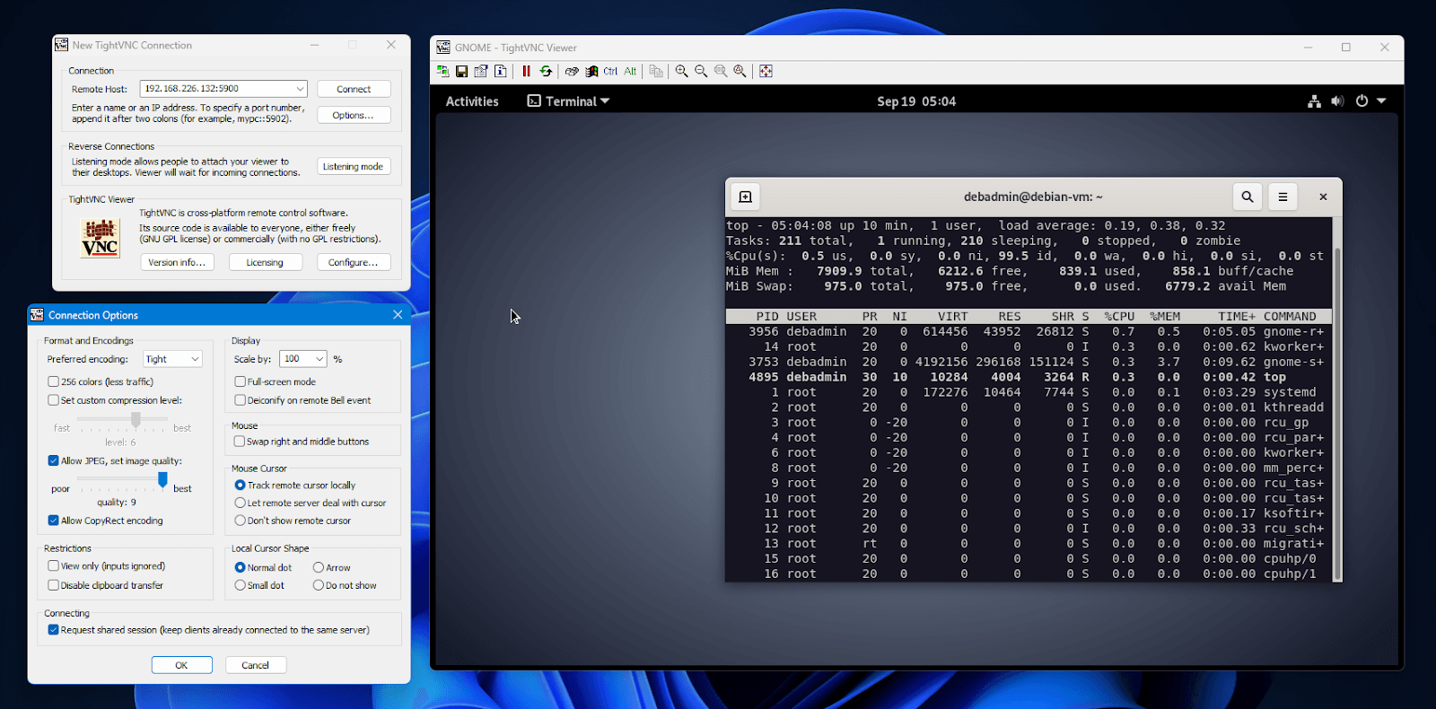 TightVNC Debian remote session