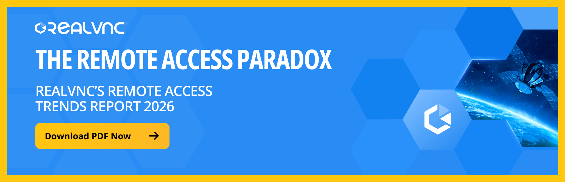 Download the remote access paradox PDF