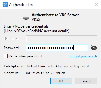 RealVNC Viewer authentication prompt shown when connecting to a remote computer