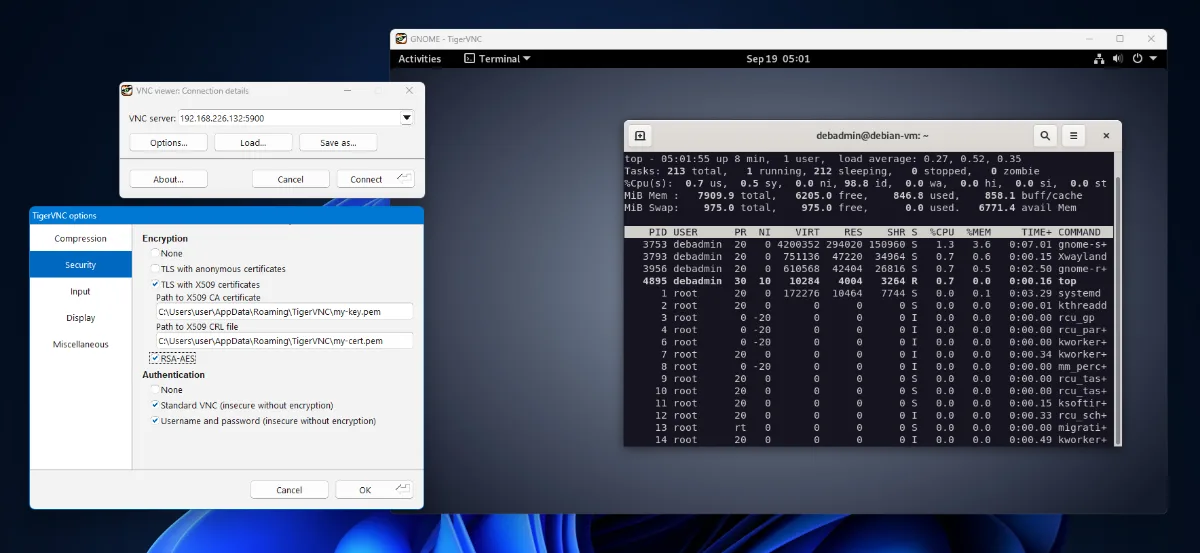 TigerVNC with a Debian remote session
